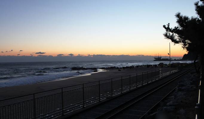 2020 Coex New Year’s Countdown + Gyeongpodae Overnight Sunrise Tour - from Seoul (Dec 31)