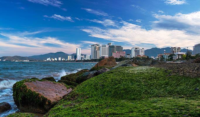 Da Nang International Airport / Da Nang City Center ↔ Nha Trang City Center Transfer - Private Taxi (24/7)