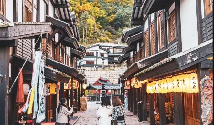 南怡島 & 虹森工作室之旅（+ 晨靜樹木園/鐵路自行車/羊駝世界/小法國村選項）