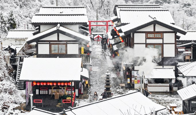 南怡島 & 虹森工作室之旅（+ 晨靜樹木園/鐵路自行車/羊駝世界/小法國村選項）
