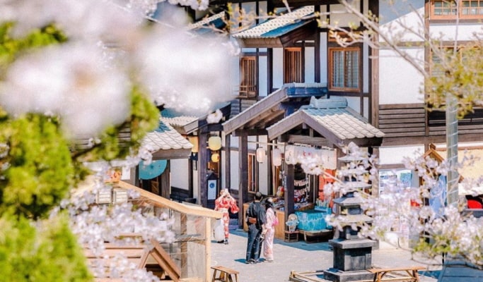 Nijimori Studio + Korean Culture Experience Tour (+ Laveniche/ Majang Lake/ Shinsegae Outlet)