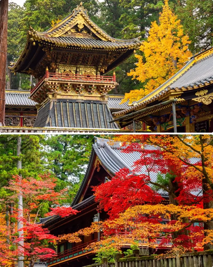 Nikko Toshogu Shrine in Nikko