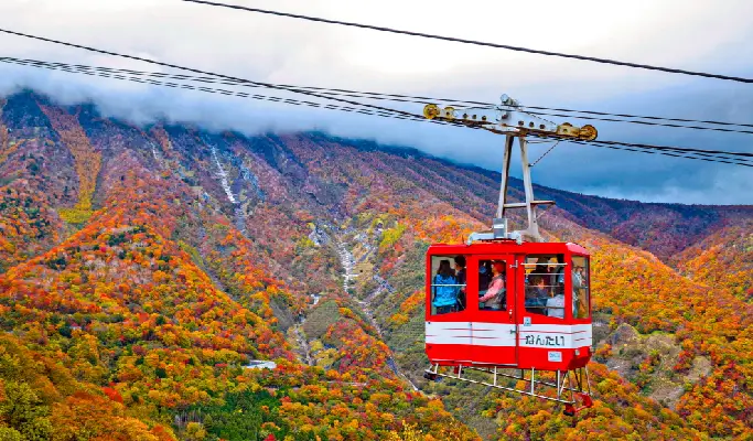 Autumn Special: Nikko Irohazaka Slope & Kegon Waterfall & Watarase Railway 1 Day Tour from Tokyo (Oct 20~Nov 28)