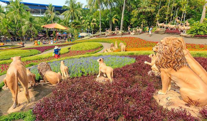Nong Nooch Tropical Garden & Coral Island (Koh Larn) 1 Day Tour - from Pattaya (+Snorkeling/Water Sliding) (+3 Water Activity Options)