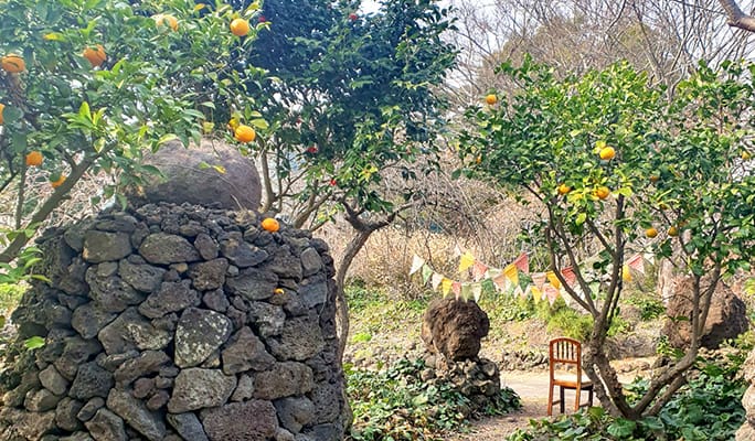 済州ノリメ公園割引チケット