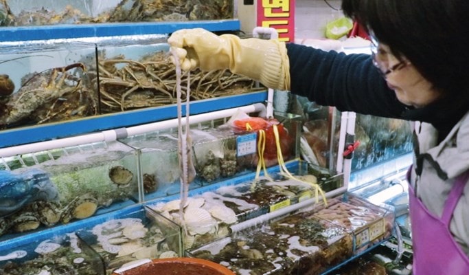 Noryangjin Fish Market Walking Tour