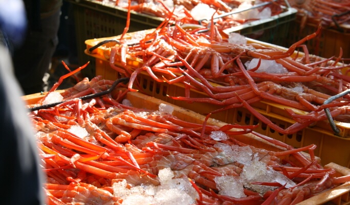 Noryangjin Fish Market Half Day Walking Tour & Food Tasting