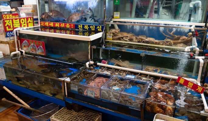 Noryangjin Fish Market Half Day Walking Tour & Food Tasting