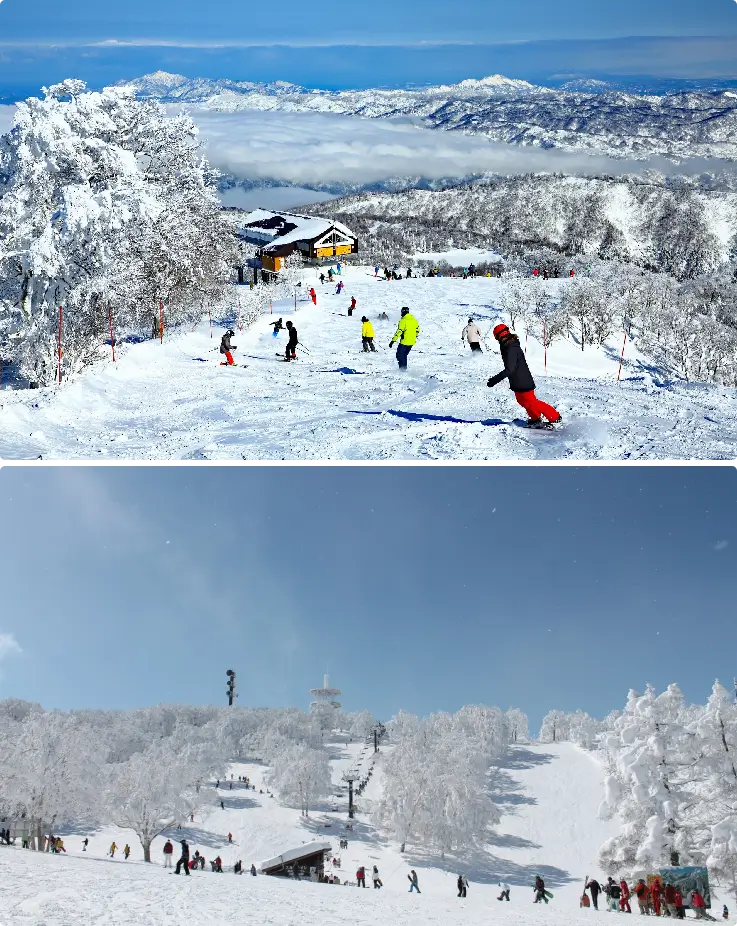 Snow-covered mountain scenery at Nozawa Onsen Ski Resort in winter