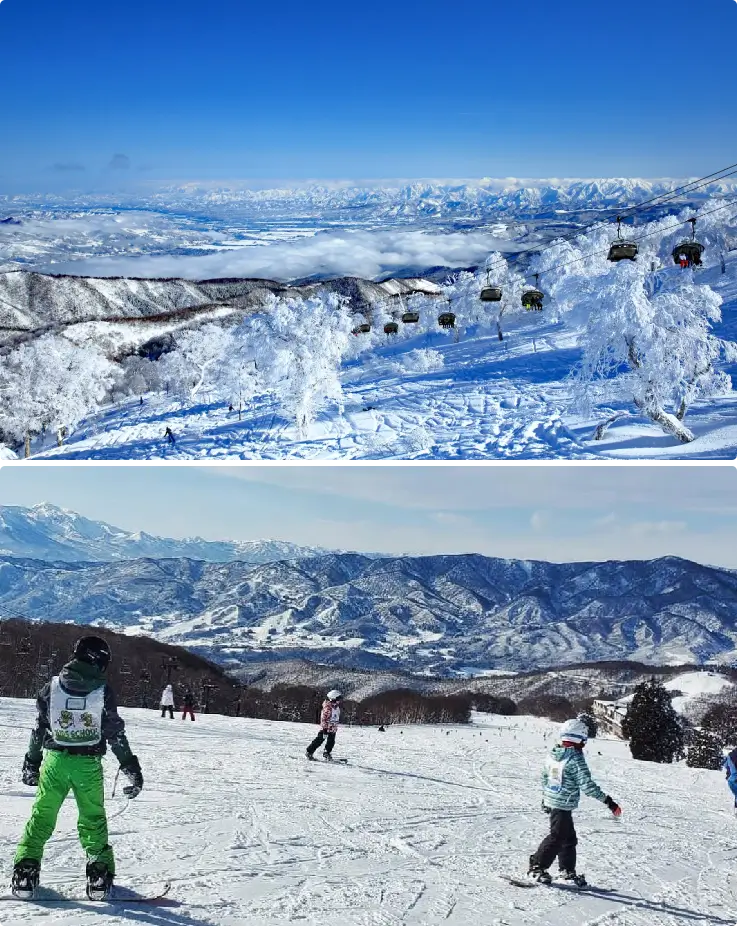 Skiers and snowboarders enjoying winter sports at Nozawa Onsen Ski Resort