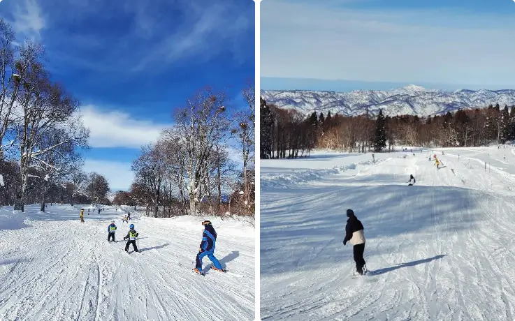 Various ski slopes at Nozawa Onsen Ski Resort for beginners and advanced skiers