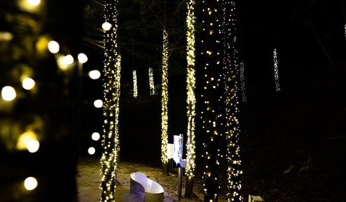 Oak Valley Ski Resort + Sonata of Light 3D Festival 1 Day Tour