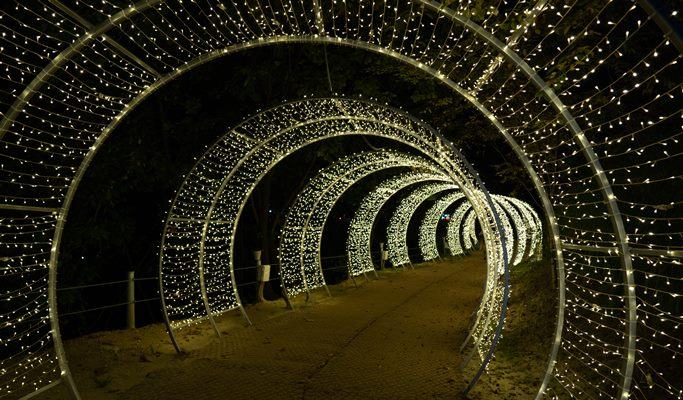 Oak Valley Ski Resort + Sonata of Light 3D Festival 1 Day Tour