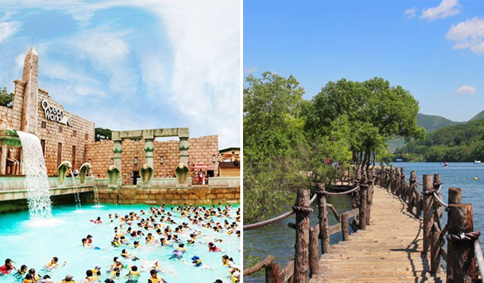 Ocean World Water Park & Nami Island 1 Day Tour (~Aug)