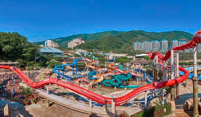 Vivaldi Park (Ocean World) Pet Room All Inclusive Summer Package: Room + Breakfast + Ocean World + Activities (+Private Transfer option)
