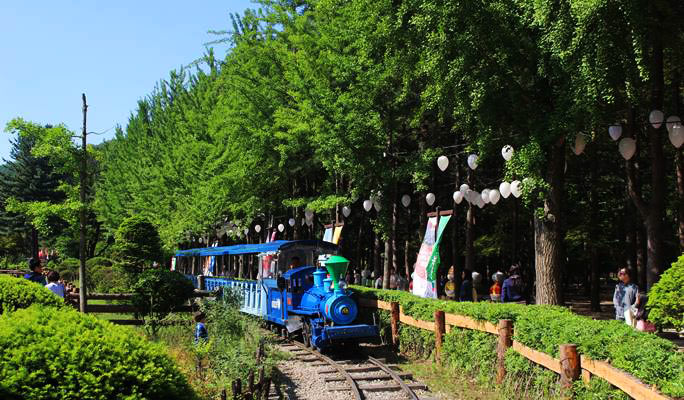 Ocean World Water Park & Nami Island 1 Day Tour (~Aug)