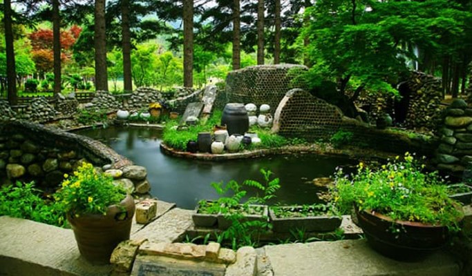 Ocean World Water Park & Nami Island 1 Day Tour (~Aug)
