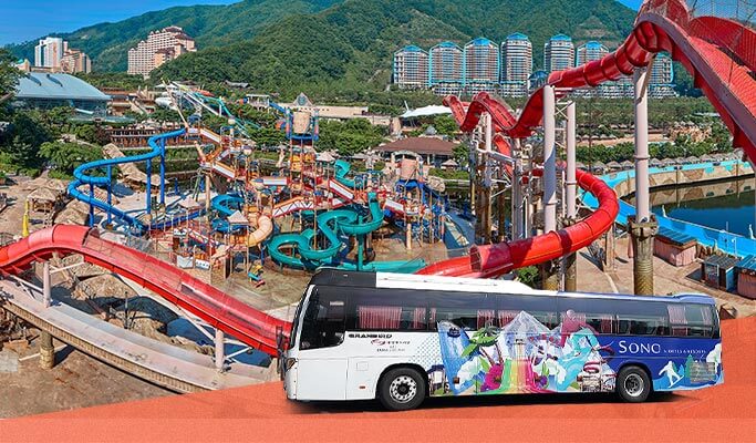 Ocean World Water Park Discount Ticket & Shuttle Bus Package from Seoul