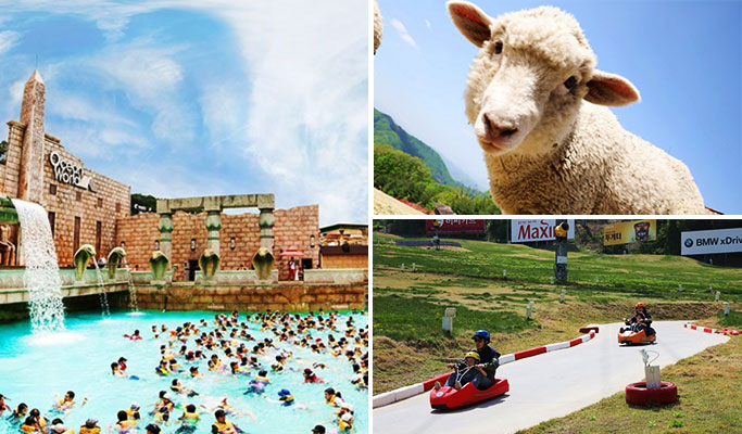 Ocean World Water Park (+ Luge / Sheep Farm) 1 Day Tour (~Aug)