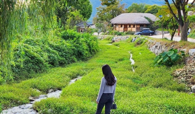 夏季特輯：2025保寧泥漿節 & 外巖民俗村一日遊 - 首爾出發（7月29日~8月9日）