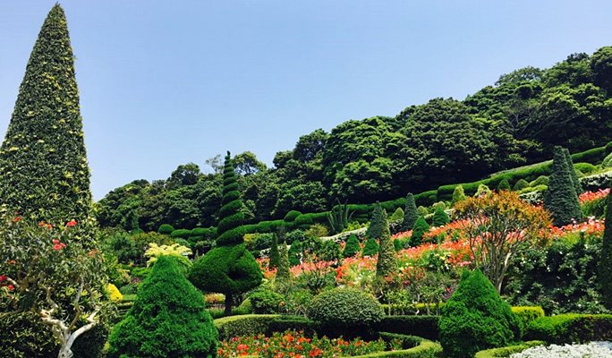 Oedo Island: Oedo Botania One Day Tour From Busan - Trazy, Korea's #1 ...