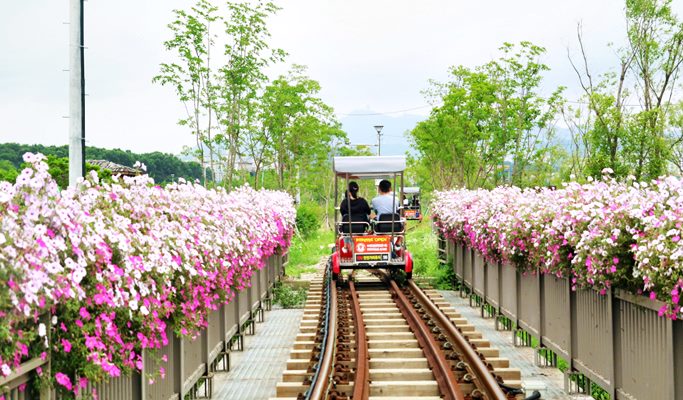 Onemount Snow Park + Gwangmyeong Cave + Uiwang Rail Bike 1 Day Tour (~Sep)