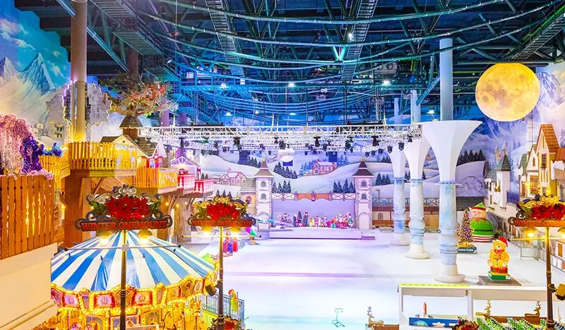 Onemount Snow Park Discount Ticket