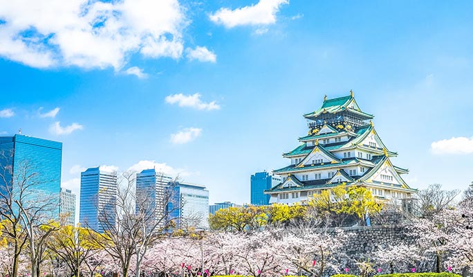 Osaka Customized Private City Sightseeing 1 Day Tour