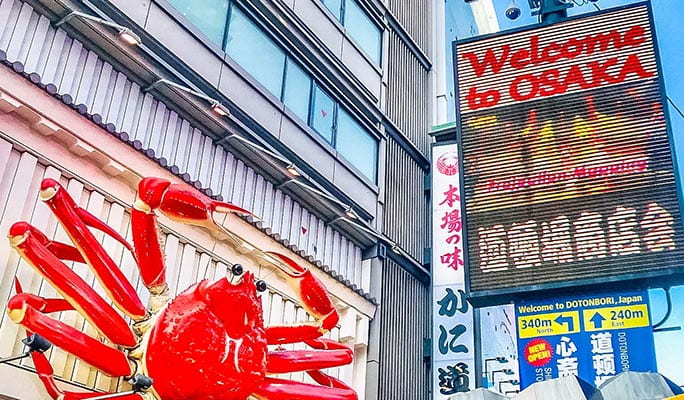 Osaka Must-See Spots 1 Day Private Tour