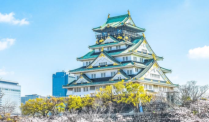 Osaka Must-See Spots 1 Day Private Tour