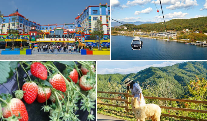[Outdoor Adventure Haven] Gangwon-do 1-Day Tour (Legoland/ Samaksan Cable Car/ Alpaca World/ Strawberry Picking) (Nov 12~13)