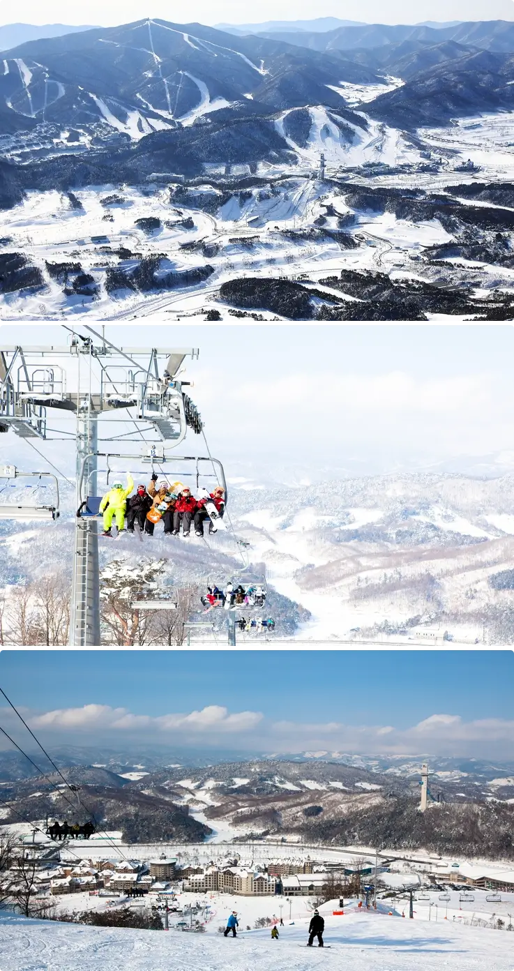 Ski slopes at Alpensia Ski Resort