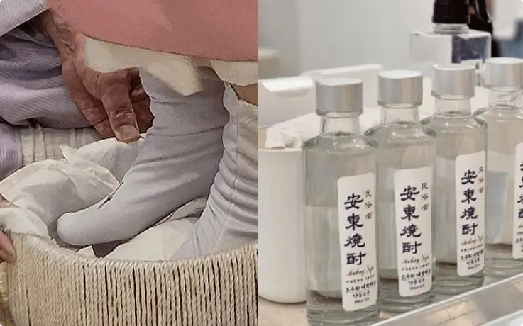 Andong Soju making experience at Andong Soju Museum