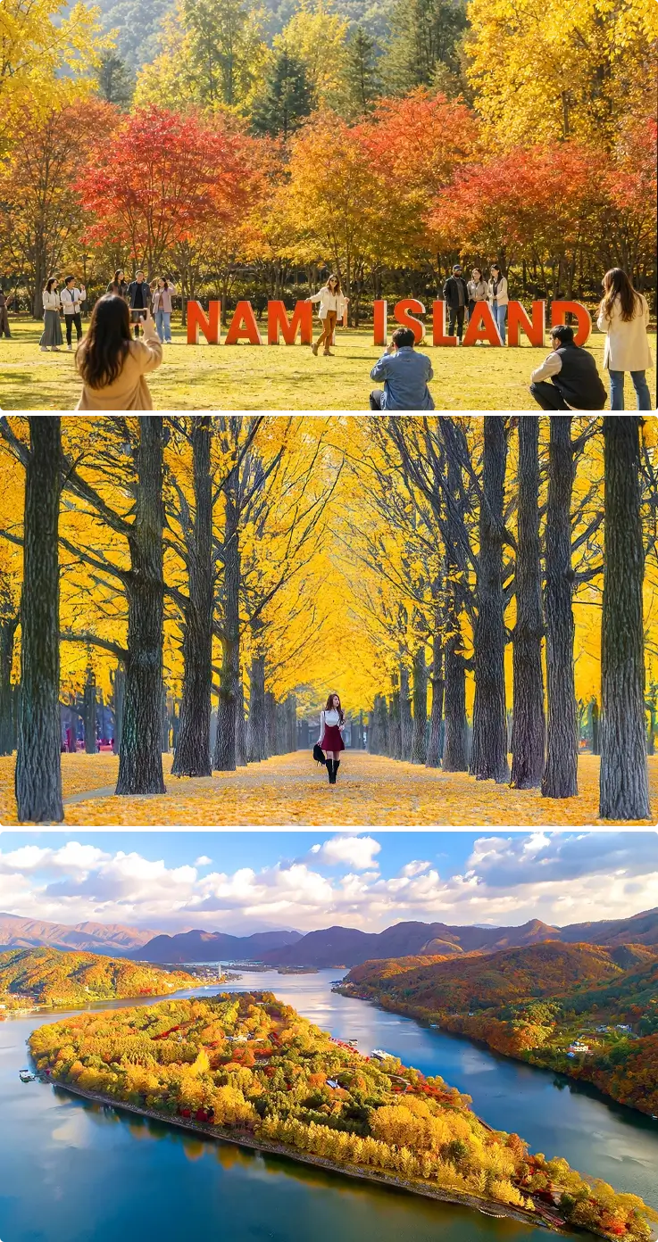 Nami Island in fall