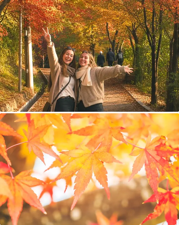 Fall foliage at Ansan Mountain in Seoul