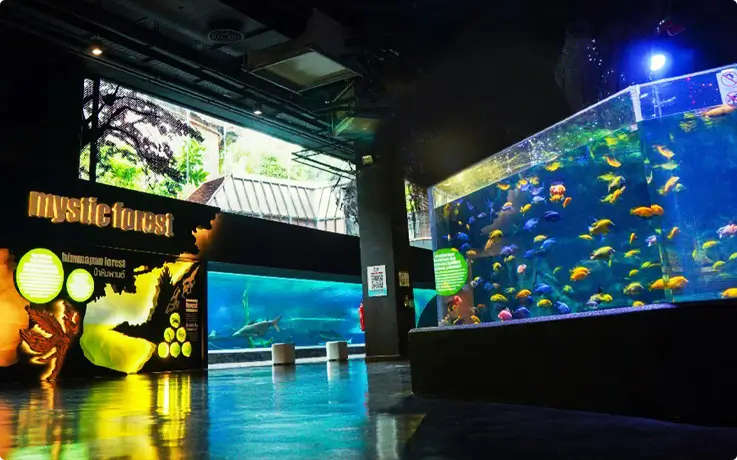 Mystic Forest zone in Aquaria Phuket