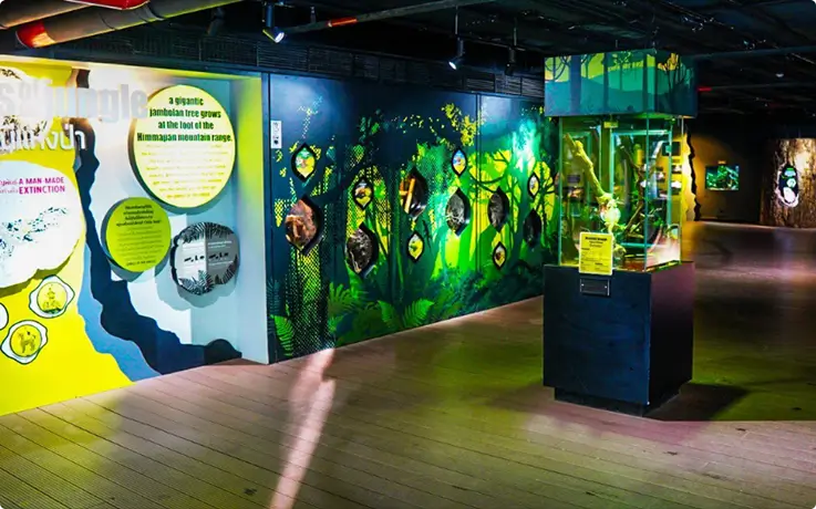 Jewels of the Jungle zone at Aquaria Phuket