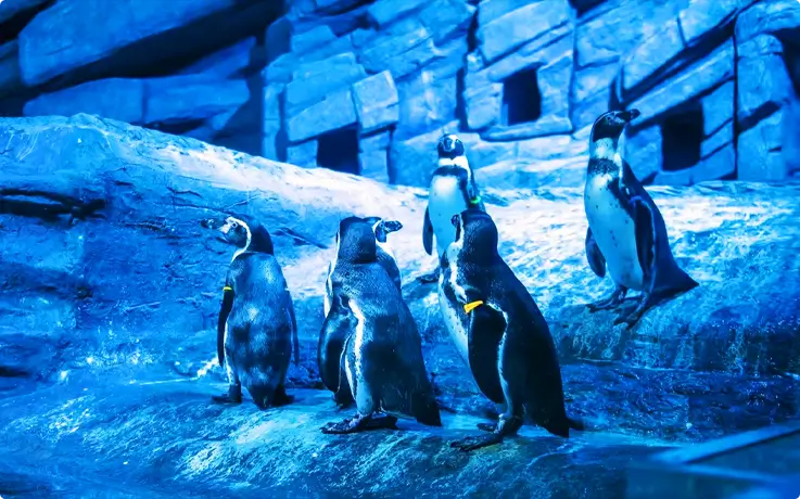 Coastal Haven zone at Aquarium Phuket