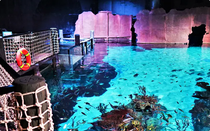 Stingray Bay zone at Aquaria Phuket