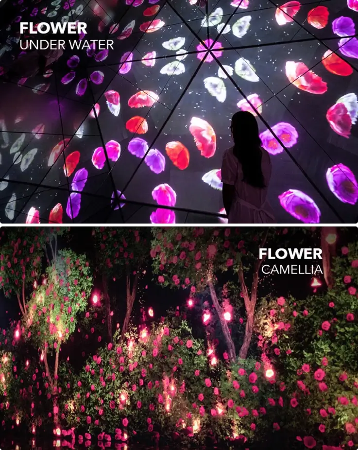 Arte Museum exhibition in Jeju