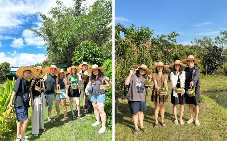 Organic farm visit from Baan Farm Thai Cooking School