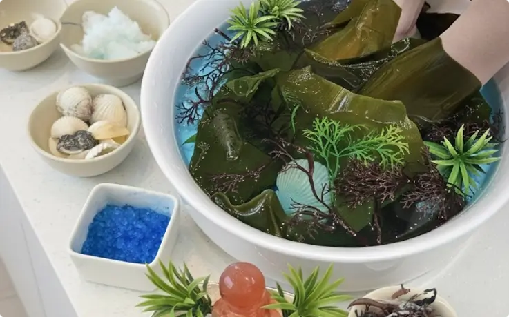 Blue Seaweed Foot Spa at Beauty Holic in Busan