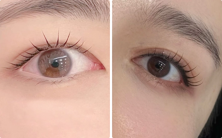 Eyelash perm at Beauty Holic in Busan