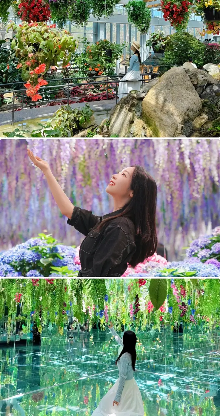 Visitors taking photos at Begonia Bird Park in Gapyeong
