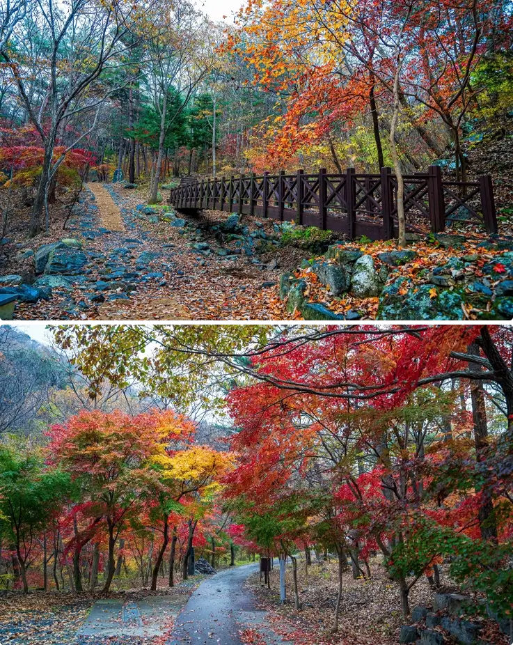 Forest trails at Seongjusan Recreational Forest in Boryeong