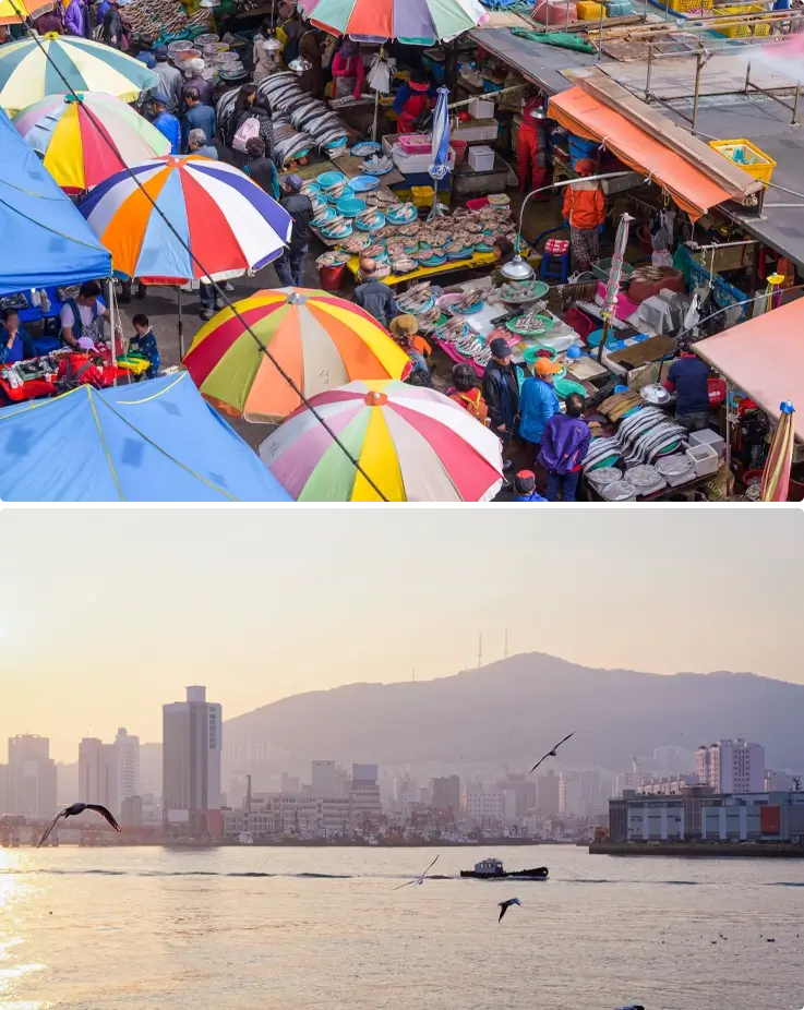 Jagalchi Fish Market in Busan