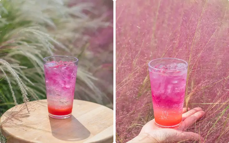 Signature drinks at Camelia Hill Jeju