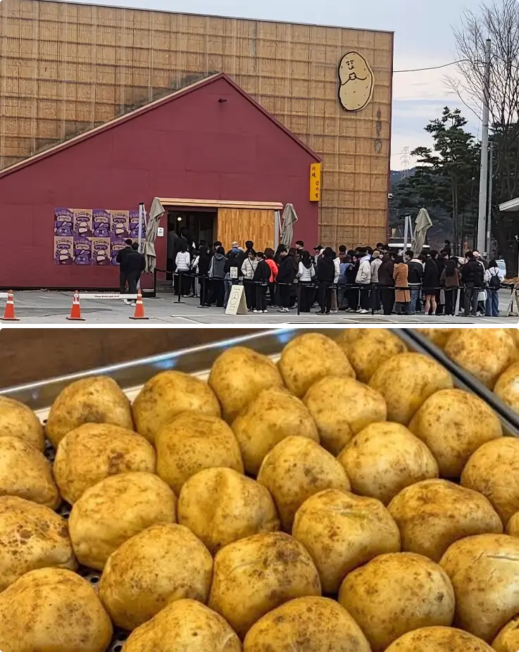 Gamza Batt bakery in Chuncheon