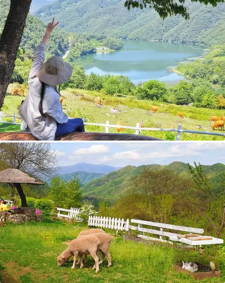 Happy Meadow Ranch in Chuncheon
