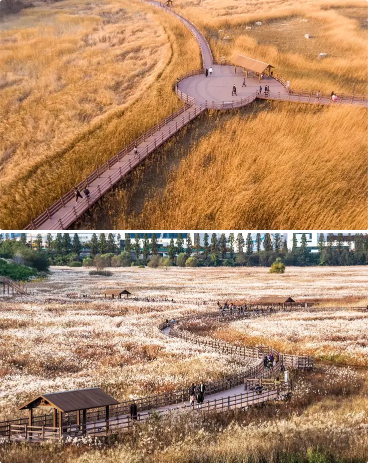 Daemyeong Reservoir in Daegu